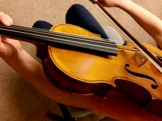 Viola